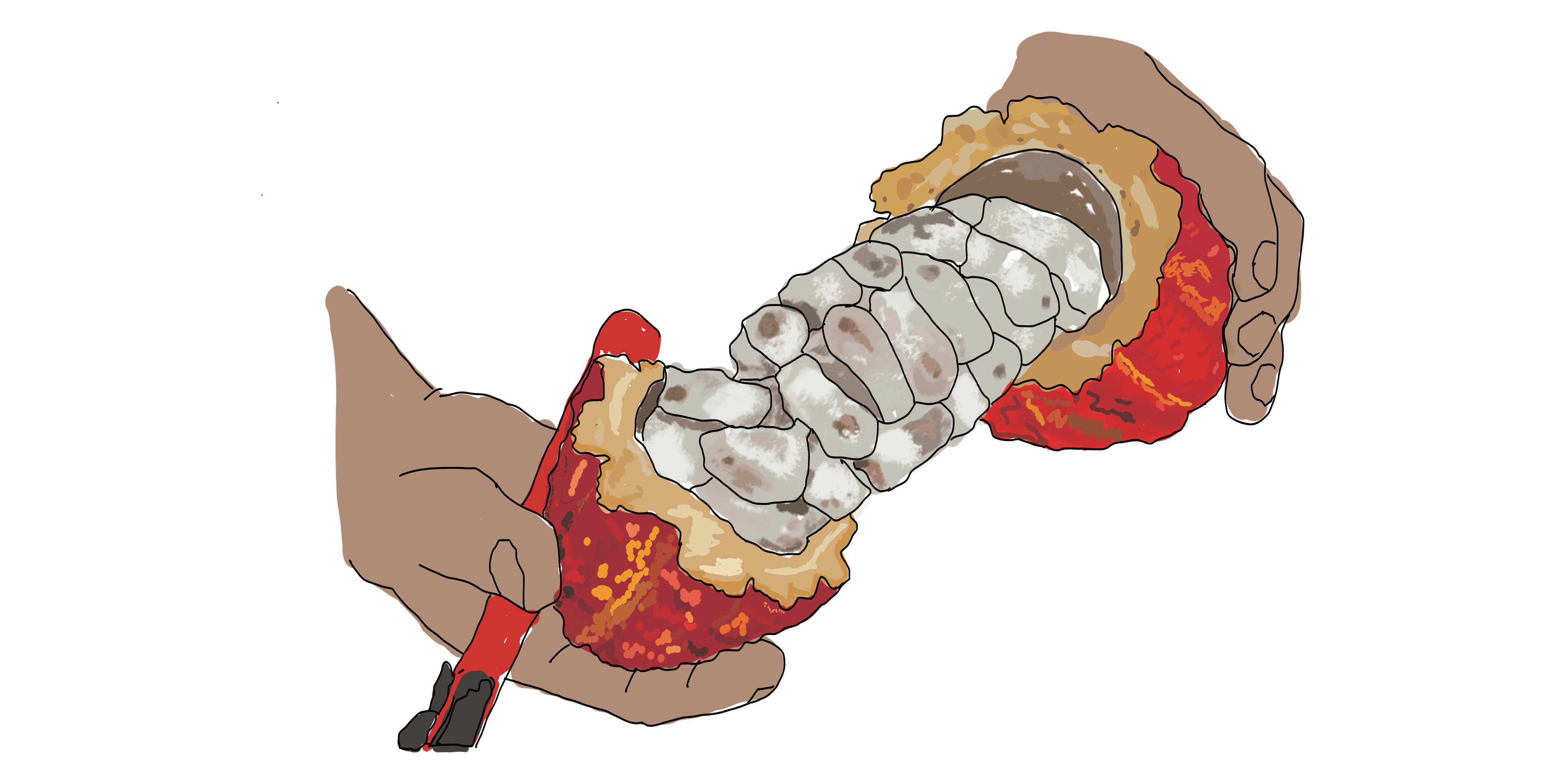 Entorno de cultivos agroforestales