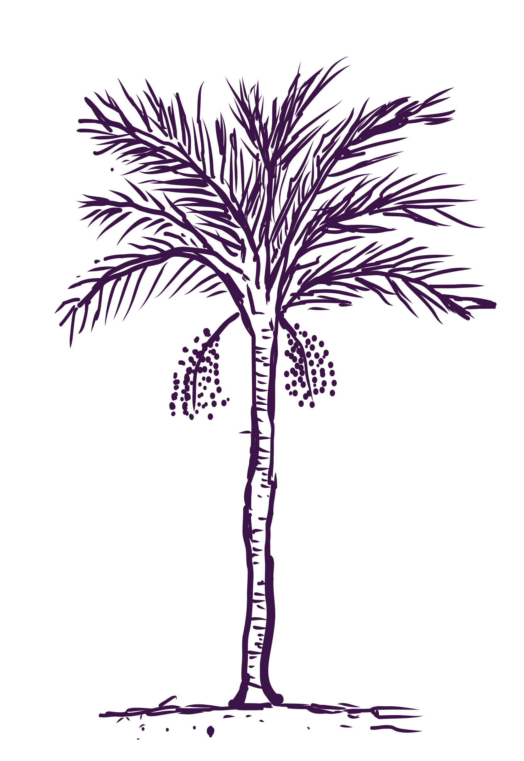 Manejo sostenible del bosque amazónico