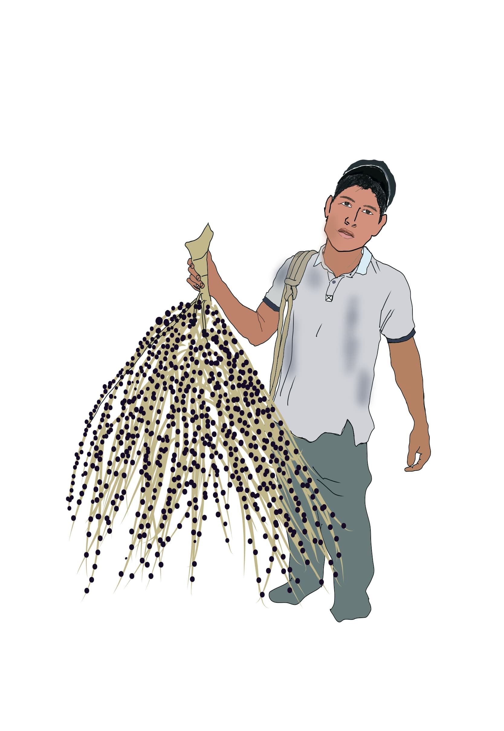 Proyectos productivos de cooperación en territorio